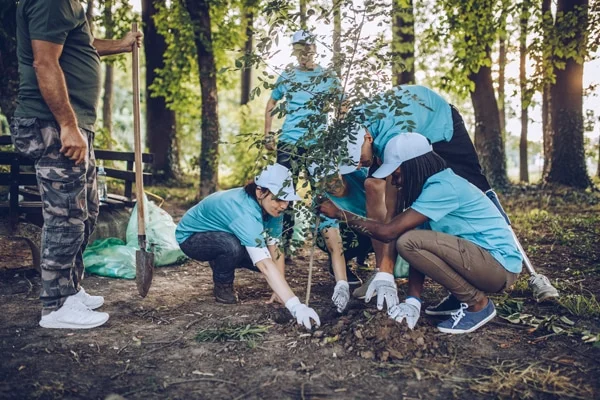 Eine Gruppe von vier Personen, bekleidet in blauen T-Shirts und weißen Kappen, ist gemeinsam in einem Waldstück damit beschäftigt, einen jungen Baum zu pflanzen. Sie tragen Handschuhe und sind gerade dabei, den Baum in die vorbereitete Erde zu setzen, während ein Mann in Tarnkleidung zuschaut.